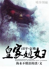 （综清穿+红楼同人）皇家媳妇