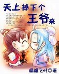 《天上掉下个王爷来》