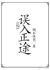 （综同人）[综]误入正途
