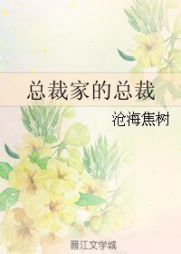 《(魔幻手机同人)总裁家的总裁》