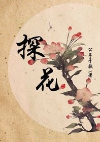 《探花》