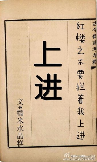《(红楼同人)红楼之不要拦着我上进》