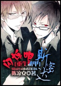 《闪烁吧,斯密达(机甲)》
