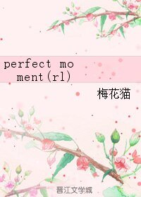 《(反叛的鲁路修同人)perfect moment(rl)》