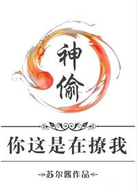 《神偷,你这是在撩我》