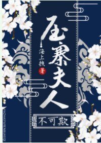 《压寨夫人不可欺》