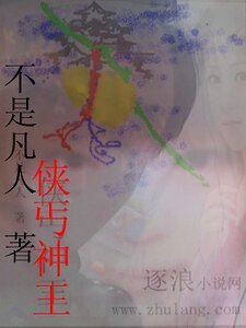 《侠丐神王》