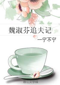 《魏淑芬追夫记》