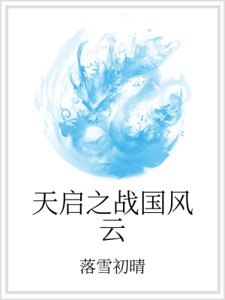 《天启之战国风云》
