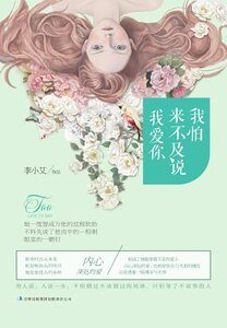 《来不及说我爱你(精)》