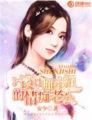 《设计师小姐的情痴老公》