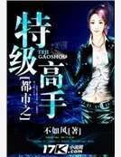 《都市之特级高手》