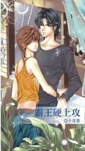 《霸王硬上攻(出书版)》