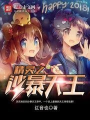 （宠物小精灵同人）精灵之沙暴天王