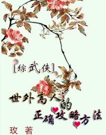 《(综武侠同人)世外高人的正确攻略方法》