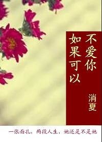 《如果可以不爱你》