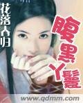 《腹黑丫鬟》