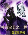 (神奇宝贝同人)宠物小精灵之一辉
