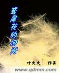 《鸢尾花的泪光》