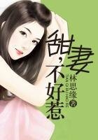《甜妻不好惹》