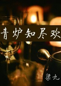 《青炉知尽欢》