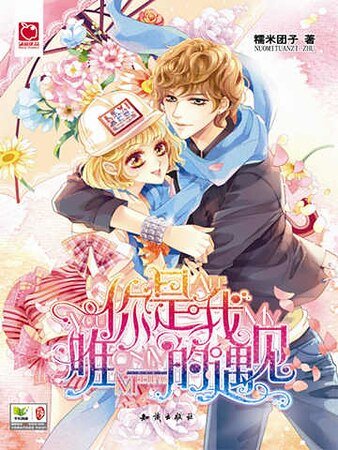 《你是我唯一的遇见(精)》