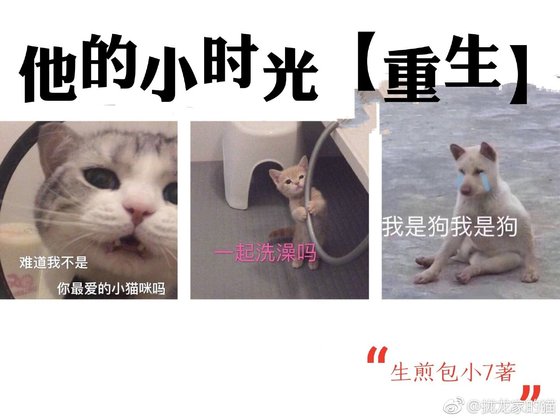 《他的小时光重生》