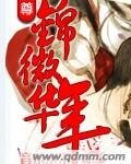 锦微华年