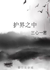 护界之中