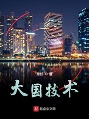《大国技术》