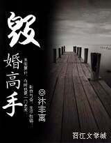 《毁婚高手(高干-军婚)》