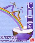 《误入官场》