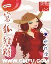 《一窝狐狸精》