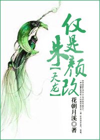 《仅是朱颜改》