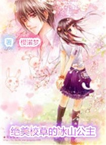 绝美校草的冰山公主