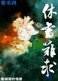 《休书难求》