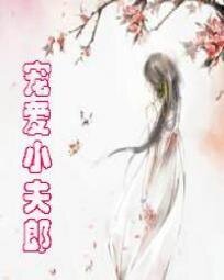 《宠爱小夫郎》