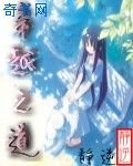 《穿越之道》