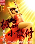 《极品小散修》