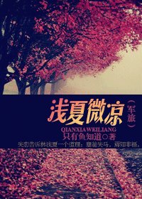 《黔夏微凉(军旅)》