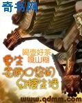 重生老俩口悠闲红楼生活