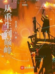 《从重生到巅峰》