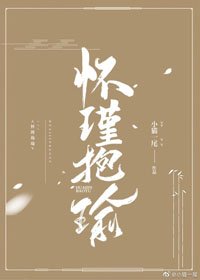 《怀瑾抱瑜》