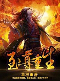 《至尊重生》