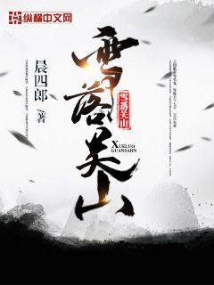 《雪落关山》