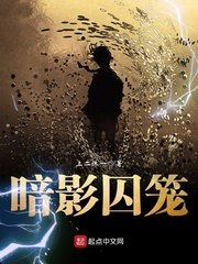《暗影囚笼》