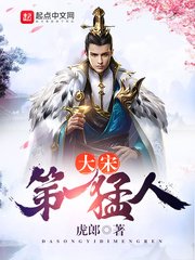 《大宋第一猛人》