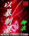 《以暴制暴》