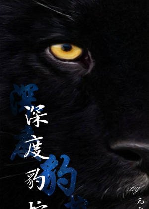 《深度豹控》