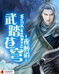 《武踏苍穹》